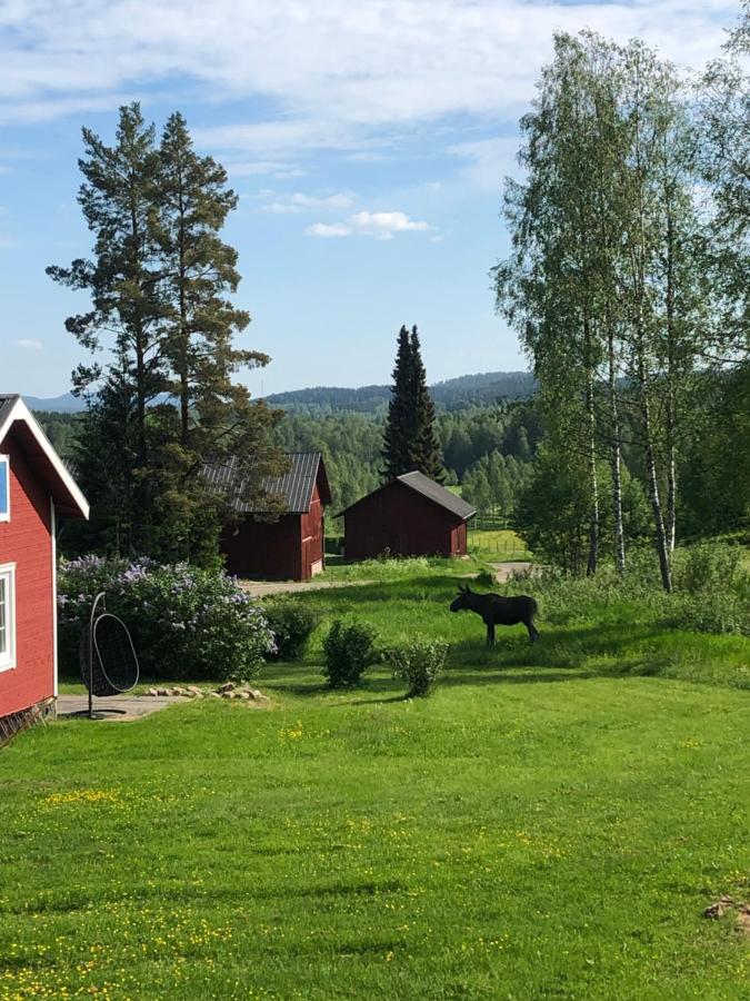 Mysig Timmerstuga Med Braskamin Naera Hovfjaellet 图什比 外观 照片